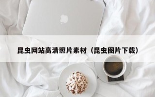 金湖昆虫网站高清照片素材（昆虫图片下载）